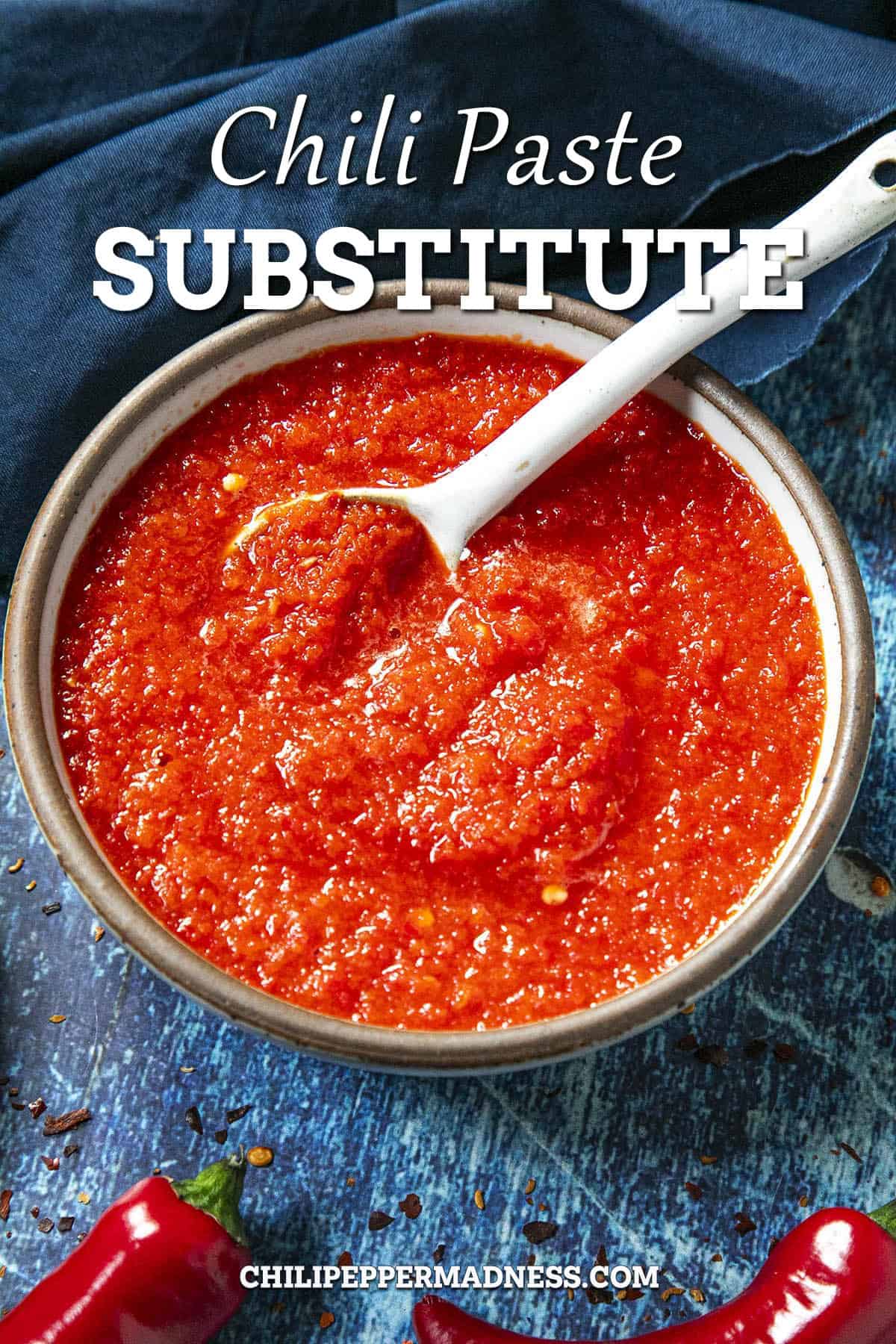 Chili Paste Substitutes