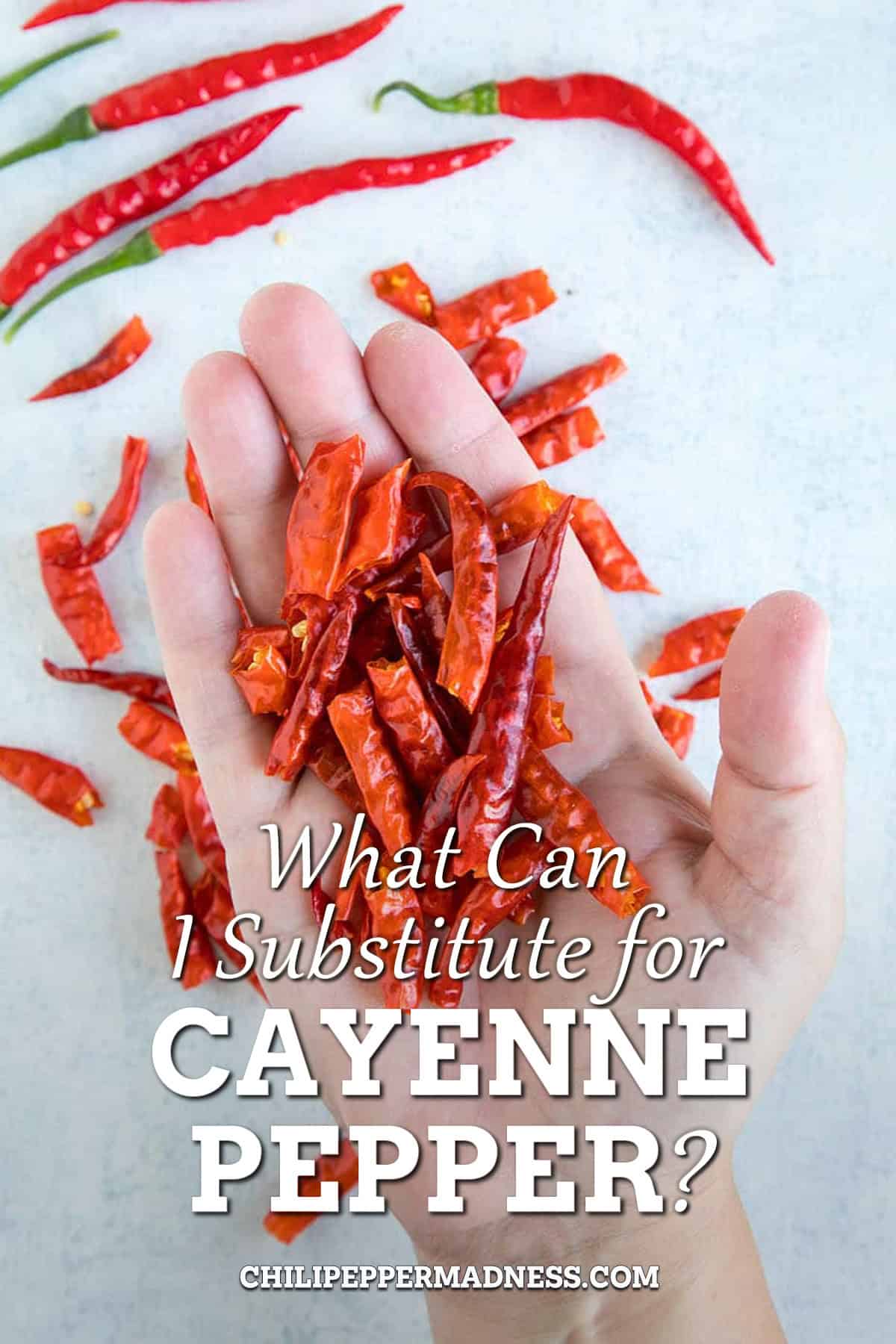Cayenne Pepper Substitutes List