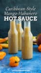 Caribbean-Style Mango-Habanero Hot Sauce Recipe