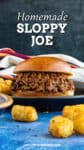 Homemade Sloppy Joe Recipe