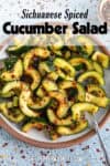 Spiced Cucumber Salad Recipe (Qiang Huang Gua)