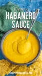 A spoonful of Creamy Habanero Sauce served from a bowl