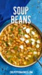 Homemade Soup Beans in a bowl, garnished with chopped white onion