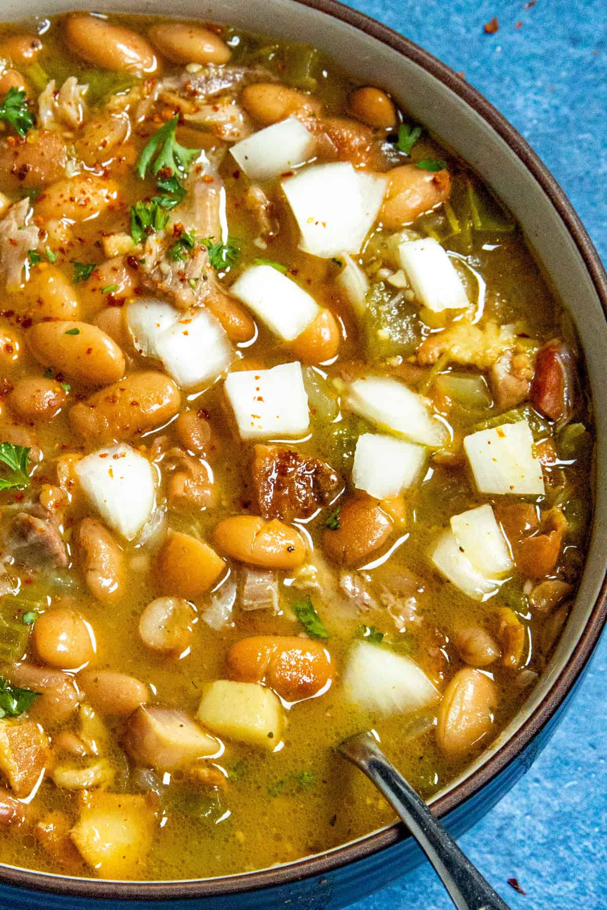 Homemade Soup Beans in a bowl, garnished with chopped white onion